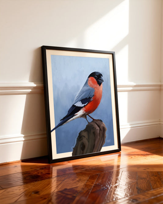 The Absent Bullfinch Fine Art Print